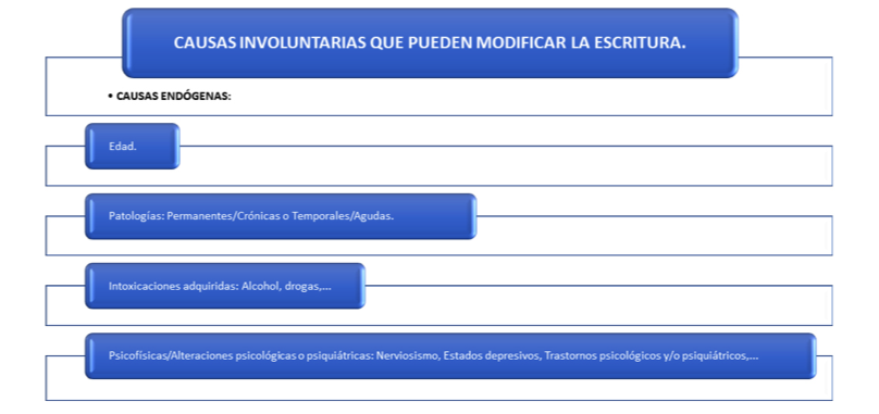 Causas endógenas