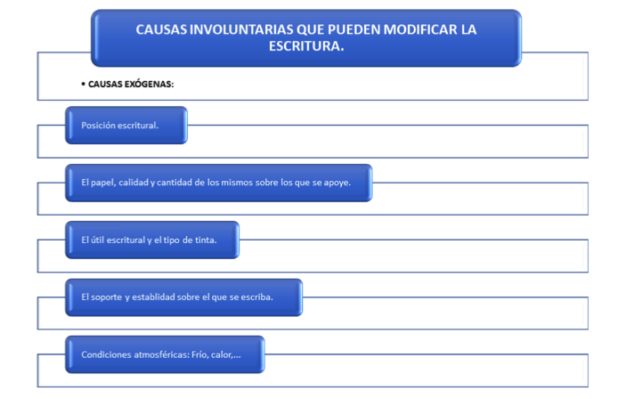 Causas éxogenas