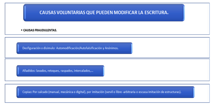 Causas fraudulentas
